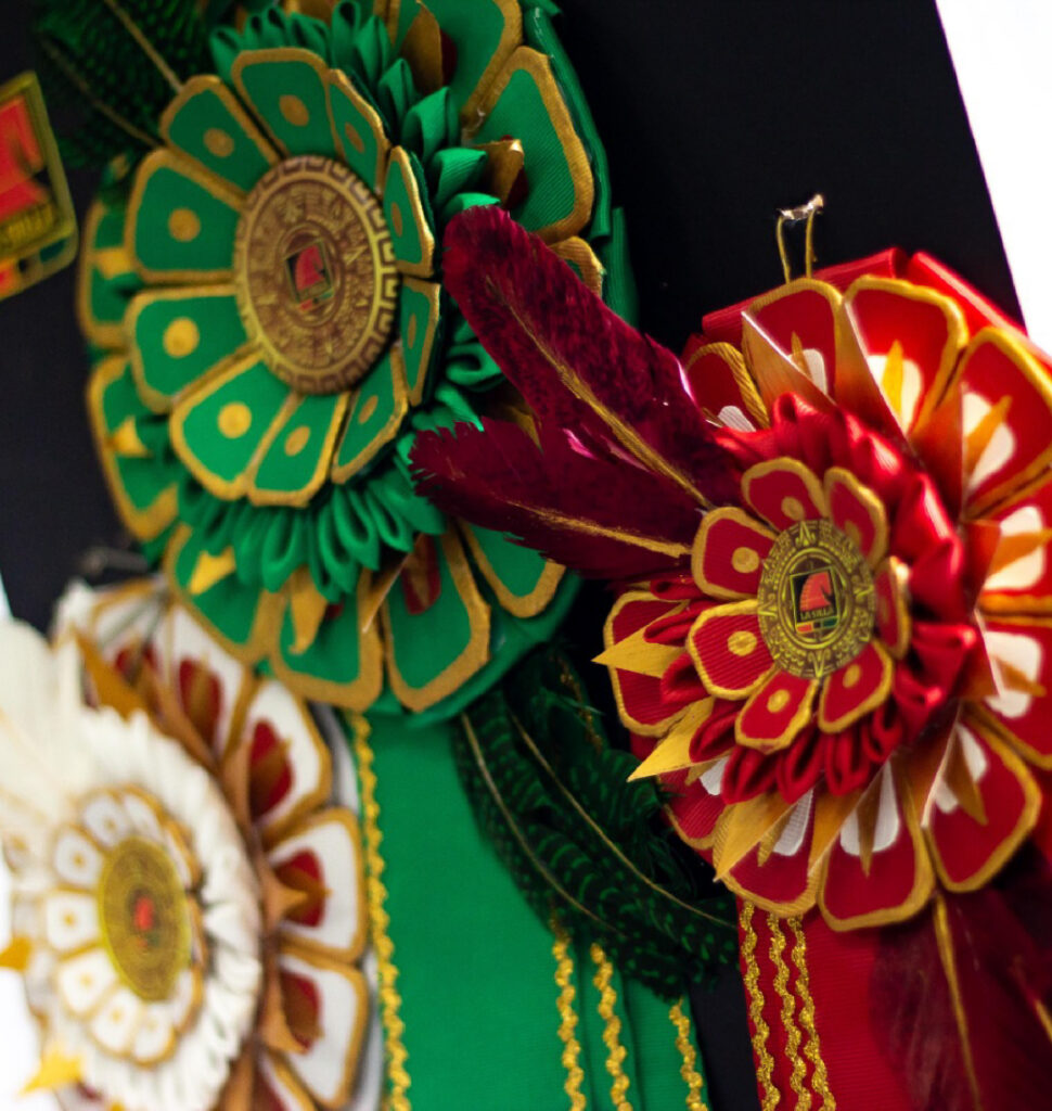 Miniaturas Proyectos 06 970x1024